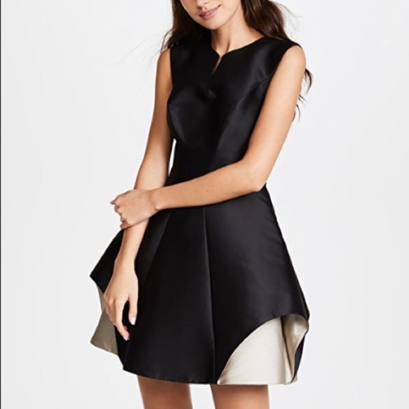 NWT! Halston Heritage Dress - Picture 5 of 7